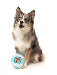 FuzzYard Tamagochi